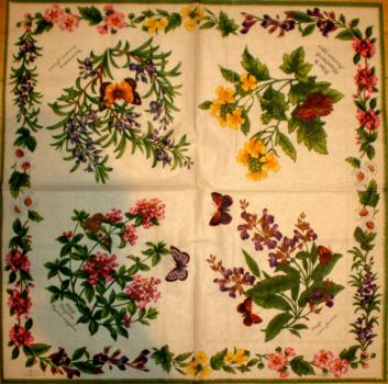 043 Kräuter - 3-lagig (orange) - Ihr - Royal Worcester